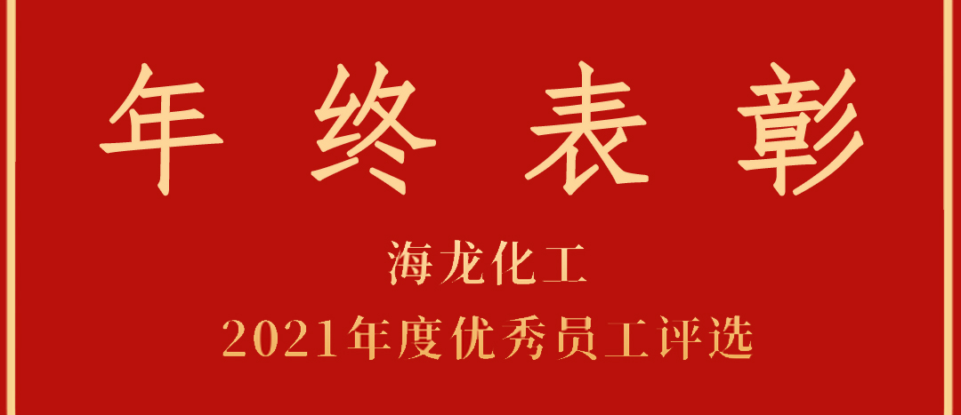 <strong>表彰！海龍化工2021年度優(yōu)秀員工優(yōu)秀部門評選</strong>
