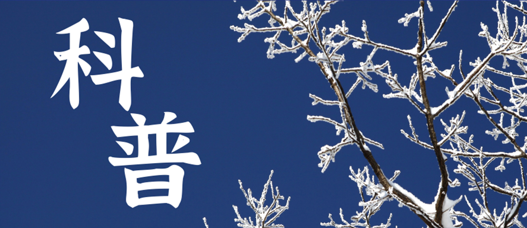 科普 | 冬季雨雪天氣?；愤\輸車輛注意事項