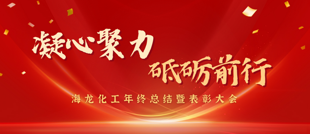 表彰 | 凝心聚力，砥礪前行，海龍化工年終總結(jié)暨表彰大會圓滿舉行